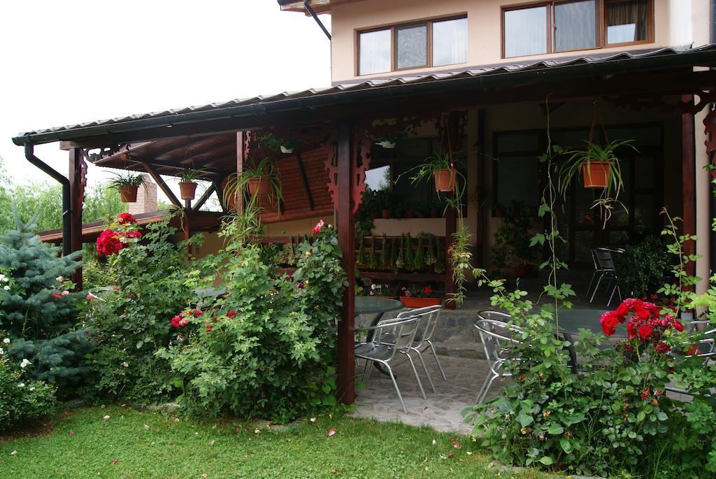 Pensiunea Bujorul Comana Extérieur photo